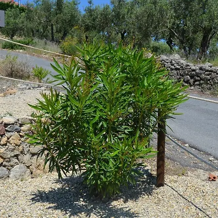 Tendapiccola