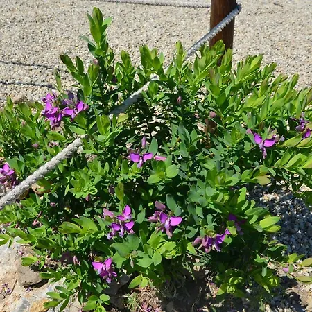 Bauernhof Tendapiccola *