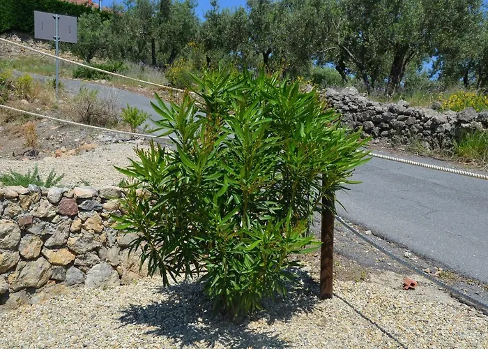 Tendapiccola